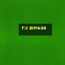 tai binh88