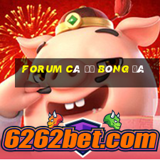 forum cá độ bóng đá