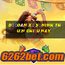 dự đoán xổ số ninh thuận chiều nay