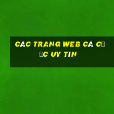 các trang web cá cược uy tín