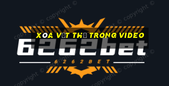 xóa vật thể trong video