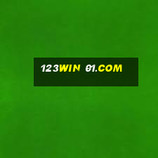 123win 01.com