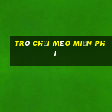 trò chơi mèo miễn phí