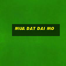 mua dat dai mo