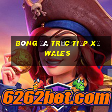 bóng đá trực tiếp xứ wales