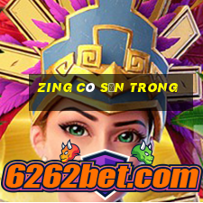 zing có sẵn trong