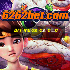 Bit Mega cá cược