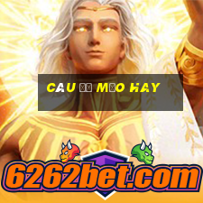 câu đố mẹo hay