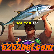 soi cau 586