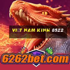 Việt nam Kinh 8522