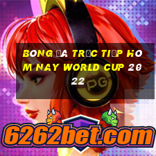 bóng đá trực tiếp hôm nay world cup 2022