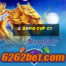 đá bóng cup c1