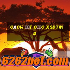 Cách đặt cược XSDTMB