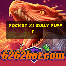 pocket xl bully puppy