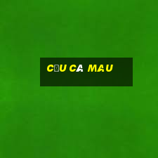 cầu cà mau