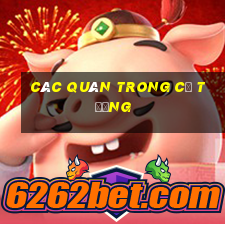 các quân trong cờ tướng