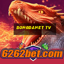 bongdanet tv