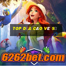 Top dưa cào vé số