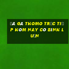 đá gà thomo trực tiếp hôm nay có bình luận