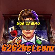 dog casino