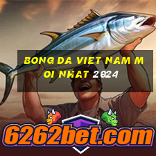 bong da viet nam moi nhat 2024