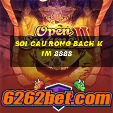 soi cau rong bach kim 8888