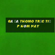 gà đá thomo trực tiếp hôm nay