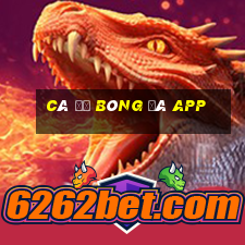 cá độ bóng đá app