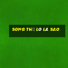 song thủ lô là sao