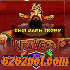 choi danh trong