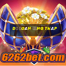 dự đoán đồng tháp