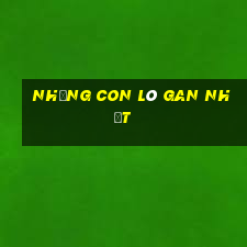 những con lô gan nhất