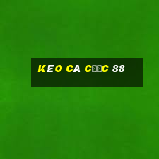 kèo cá cược 88