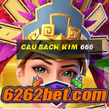 cau bach kim 666