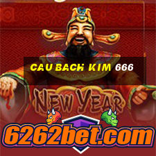 cau bach kim 666