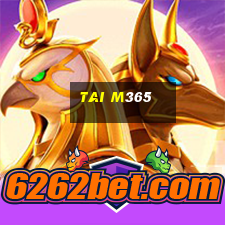 tai m365