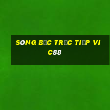 sòng bạc trực tiếp Vic88