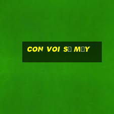 con voi số mấy