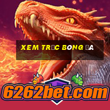 xem trực bóng đá