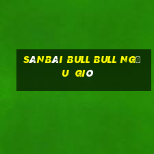 SânBài bull bull ngưu  gió