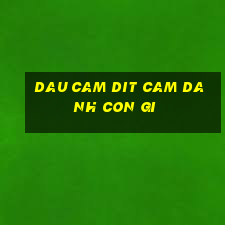 dau cam dit cam danh con gi