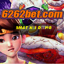 smat hải dương