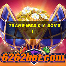 Trang web của Bomei