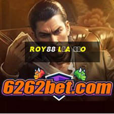 Roy88 Lừa Đảo