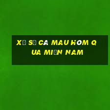 xổ số cà mau hôm qua miền nam