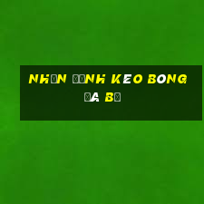 nhận định kèo bóng đá bỉ