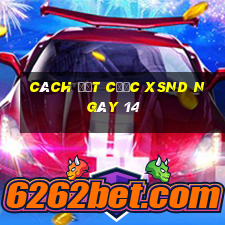 Cách đặt cược XSND ngày 14