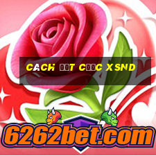 Cách đặt cược XSND