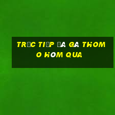 trực tiếp đá gà thomo hôm qua