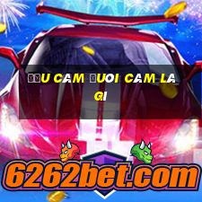 đầu câm đuôi câm là gì